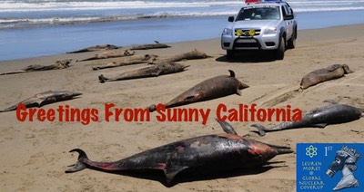 "Greetings From Sunny California" Radiation Kill- Dolphins, dnhpjl